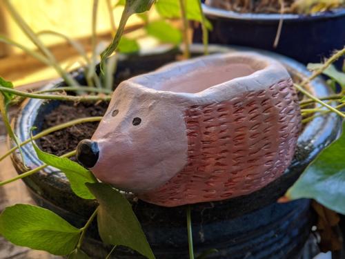 Hedgehog clay creation by student